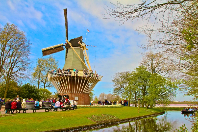 Jardins de Tulipas na Holanda - Campos de Tulipas - IMPERDÍVEL