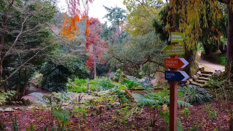 Palácio de Monserrate - Sintra: O que fazer pontos turísticos passeios Portugal o que visitar dicas viagem