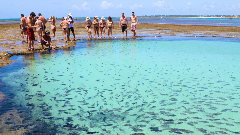 Praia mais bonita do Brasil Porto de Galinhas Pernambuco o que fazer pontos turísticos