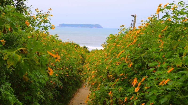 Florianópolis o que fazer dicas praias pontos turísticos ilhas Santa Catarina férias viagem hotel pousadas hotéis turismo passeios Praia Mole