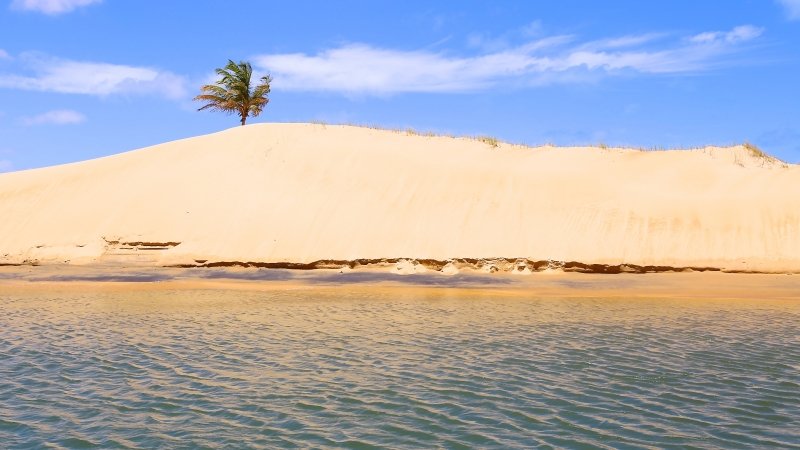 Foz do rio São Francisco Piaçabuçu passeio de barco Alagoas imagens fotos