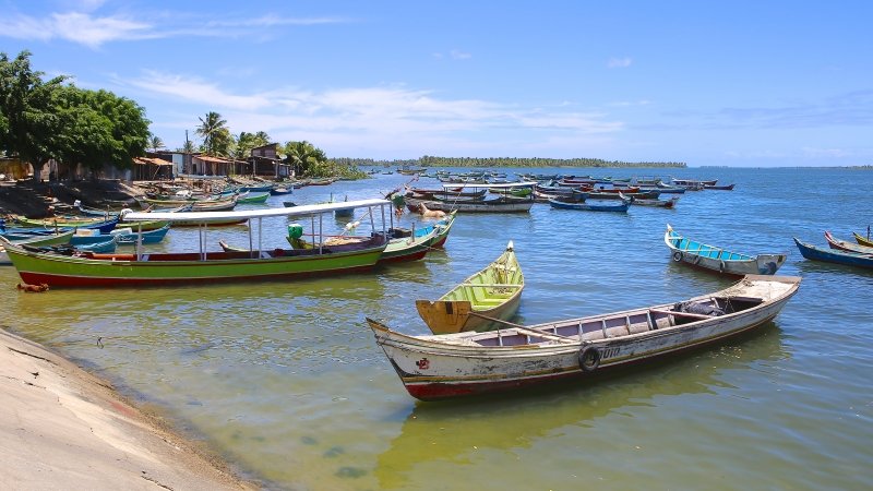 Foz do rio São Francisco Piaçabuçu passeio de barco Alagoas imagens fotos