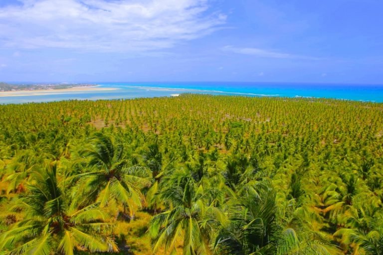 Pontos Tur Sticos Do Nordeste Brasileiro Roteiro E Lugares Para Viajar