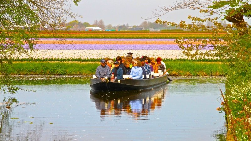 Keukenhof-Gardens como visitar o jardim de tulipas na Holanda turismo Amsterdam viagem dicas passeios lisse