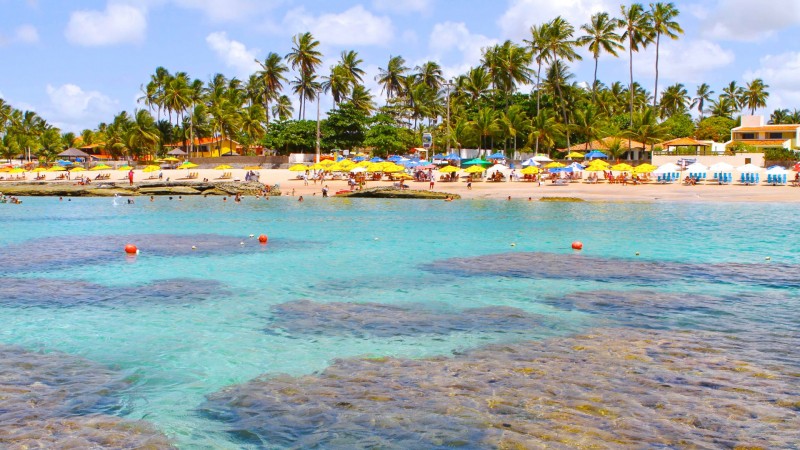 Praia de Porto de Galinhas Piscinas Naturais O que Fazer Pousadas Hoteis Restaurantes Pernambuco