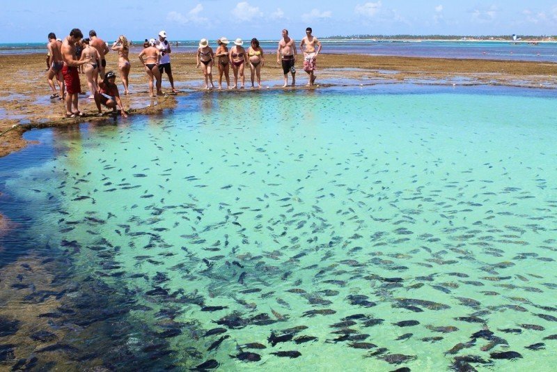 O que fazer em Porto de Galinhas