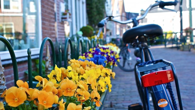 Zaanse Schans moinhos perto de Amsterdã Holanda viagem dicas passeios férias hotel