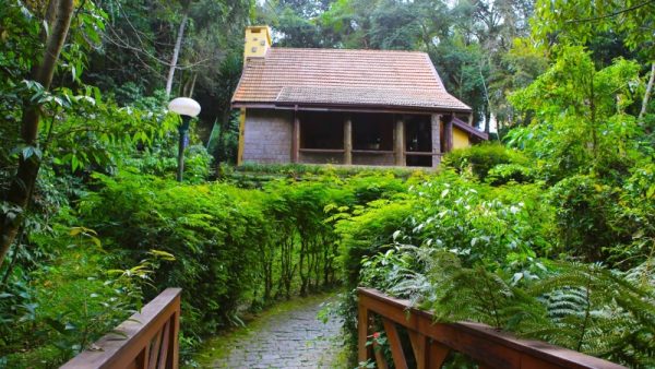 Curitiba: Bosque Alemão - Pontos Turísticos, O Que Fazer, Dicas