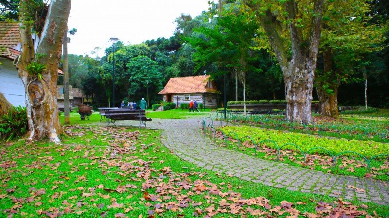 Bosque do Papa Curitiba atrações turísticas dicas o que fazer