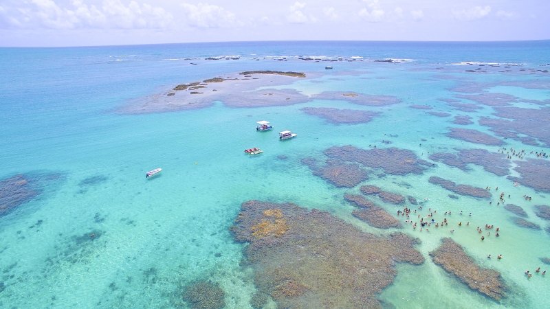 o que fazer em Maragogi Alagoas passeios em Maragogi, melhores praias de Maragogi, dicas de viagem, piscinas naturais de Maragogi