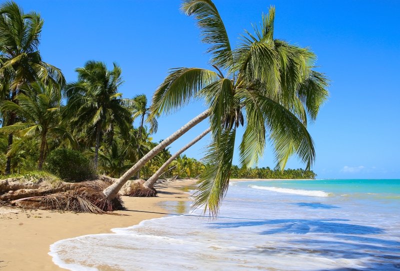 melhores praias de Alagoas