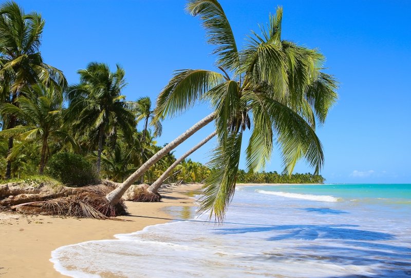 melhores praias de Alagoas - Praia do Patacho, Maragogi, Carro Quebrado,Gunga