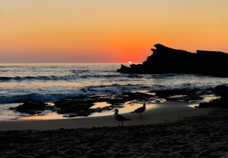 O que fazer em Vila Nova de Milfontes locais a visitar e dicas de roteiro